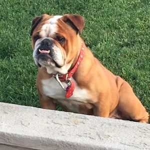 Meet your Posher, Ivan